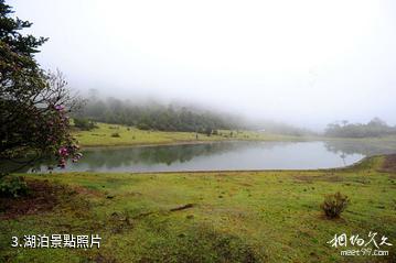 西藏勒布溝景區-湖泊照片