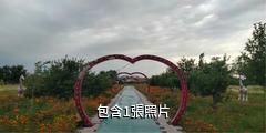 烏蘇花海·喜世界公園驢友相冊