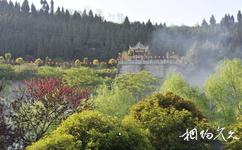 重庆开州盛山植物园旅游攻略之盛山植物园