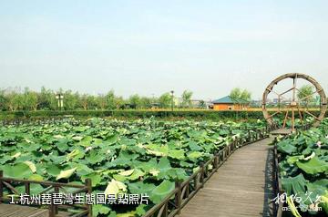 杭州琵琶灣生態園照片