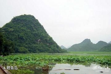 研山浴仙湖-鲤鱼岛照片