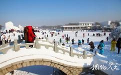 哈尔滨太阳岛国际雪雕艺术博览会旅游攻略之雪博会