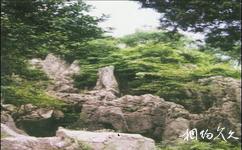 黔南州都匀西山公园旅游攻略之山石
