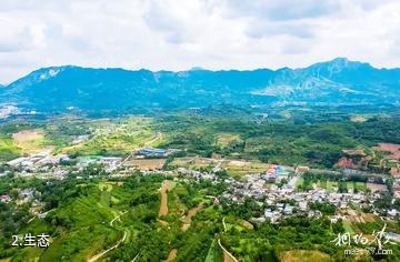 成县陈院生态园景区-生态照片