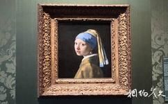 海牙莫瑞泰斯皇家美术馆旅游攻略之《戴珍珠耳环的女孩》