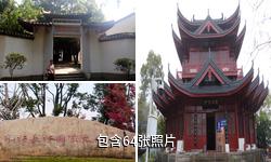 九江浔阳江文化旅游景区驴友相册