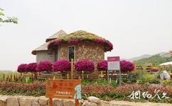 青島百果山世界園藝博覽會旅遊攻略之花卉園