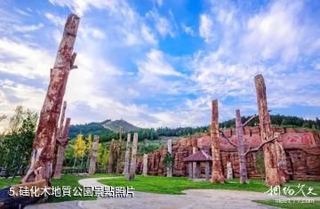 青州九龍峪景區-硅化木地質公園照片