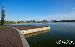 成都锦城湖湿地公园旅游攻略之亲水平台