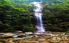 郴州九龙江国家森林公园旅游攻略之回龙瀑