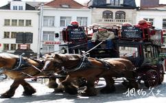 比利时安特卫普市旅游攻略之马车