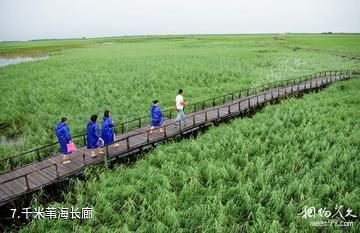 大庆珰奈湿地-千米苇海长廊照片