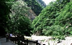 陕西太平国家森林公园旅游攻略之鸳鸯潭