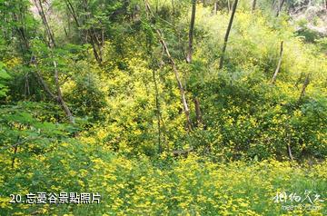 河南靈寶燕子山風景區-忘憂谷照片