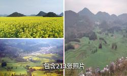 罗平油菜花海驴友相册