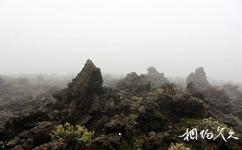 新西兰汤加里罗国家公园旅游攻略之火山石
