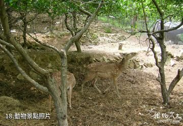 海陽雲頂自然風景旅遊區-動物照片