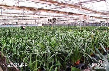 臨洮三易花卉園-溫室照片