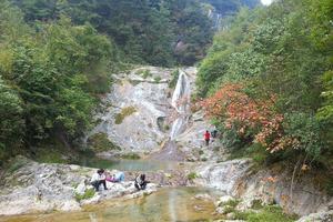 四川廣元朝天青林旅遊攻略-青林鄉景點排行榜