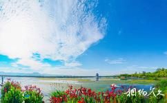 雲南保山青華海國家濕地公園旅遊攻略之濕地