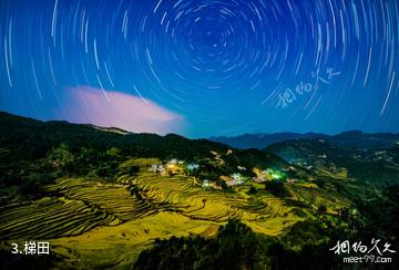 黄冈雾云山生态旅游区-梯田照片