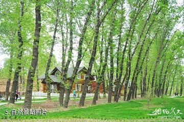 北京龍灣國際露營公園-自然照片