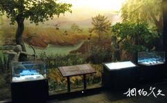 杭州跨湖桥遗址博物馆旅游攻略之农业起源的探索