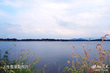 桐城嬉子湖生態旅遊區-生態照片