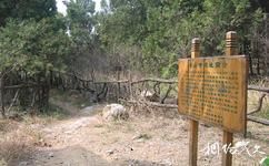 济南波罗峪旅游攻略之香山寺遗址