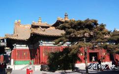 北京雍和宮旅遊攻略之法輪殿
