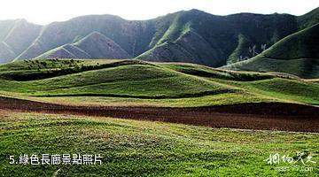 烏魯木齊卧龍崗莊園-綠色長廊照片