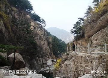 泰安徂徠山國家森林公園-紫霞棧道照片