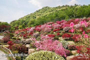 德清上渚山奇幻谷景區-杜鵑谷照片