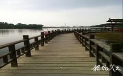 南京南山湖旅遊攻略之環湖棧道