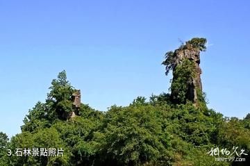 通江唱歌石林景區-石林照片