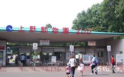 东京上野公园旅游攻略之上野动物园