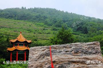 安丘辉渠百泉旅游区-留山森林风景区照片