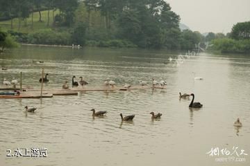 宁波雅戈尔动物园-水上游览照片