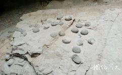 鄖陽青龍山恐龍蛋化石群國家地質公園旅遊攻略之恐龍蛋