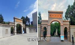 涼州植物園驢友相冊
