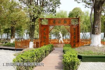 泰興中華紅楓園照片