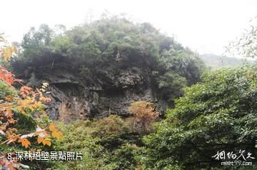 安徽寧國夏霖風景區-深林絕壁照片
