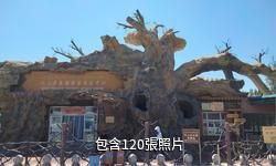 吐魯番坎兒井傳承區驢友相冊