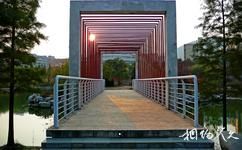 中国矿业大学校园概况之小桥