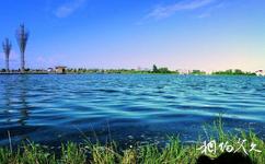 海安七星湖生态园旅游攻略之生态湿地区