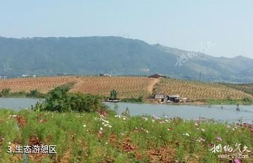 横县西津湖风景区-生态游憩区照片