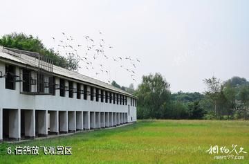 内江安泰山庄-信鸽放飞观赏区照片
