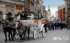 波蘭克拉科夫老城旅遊攻略之馬車