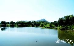 臨安青山湖旅遊攻略之水上森林
