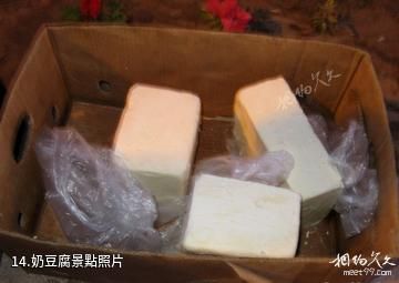 克什克騰旗熱水塘溫泉療養旅遊區-奶豆腐照片
